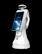 <b>供给深度定制的AI处理方</b>