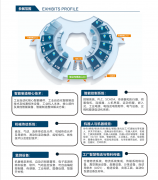 带着多元的市场需